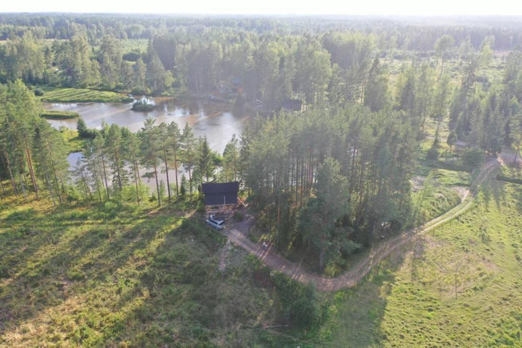 Viking House In The Tree! Jacuzzi, Sauna,Apkure! Lici  Exterior foto