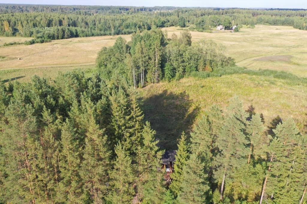 Viking House In The Tree! Jacuzzi, Sauna,Apkure! Lici  Exterior foto