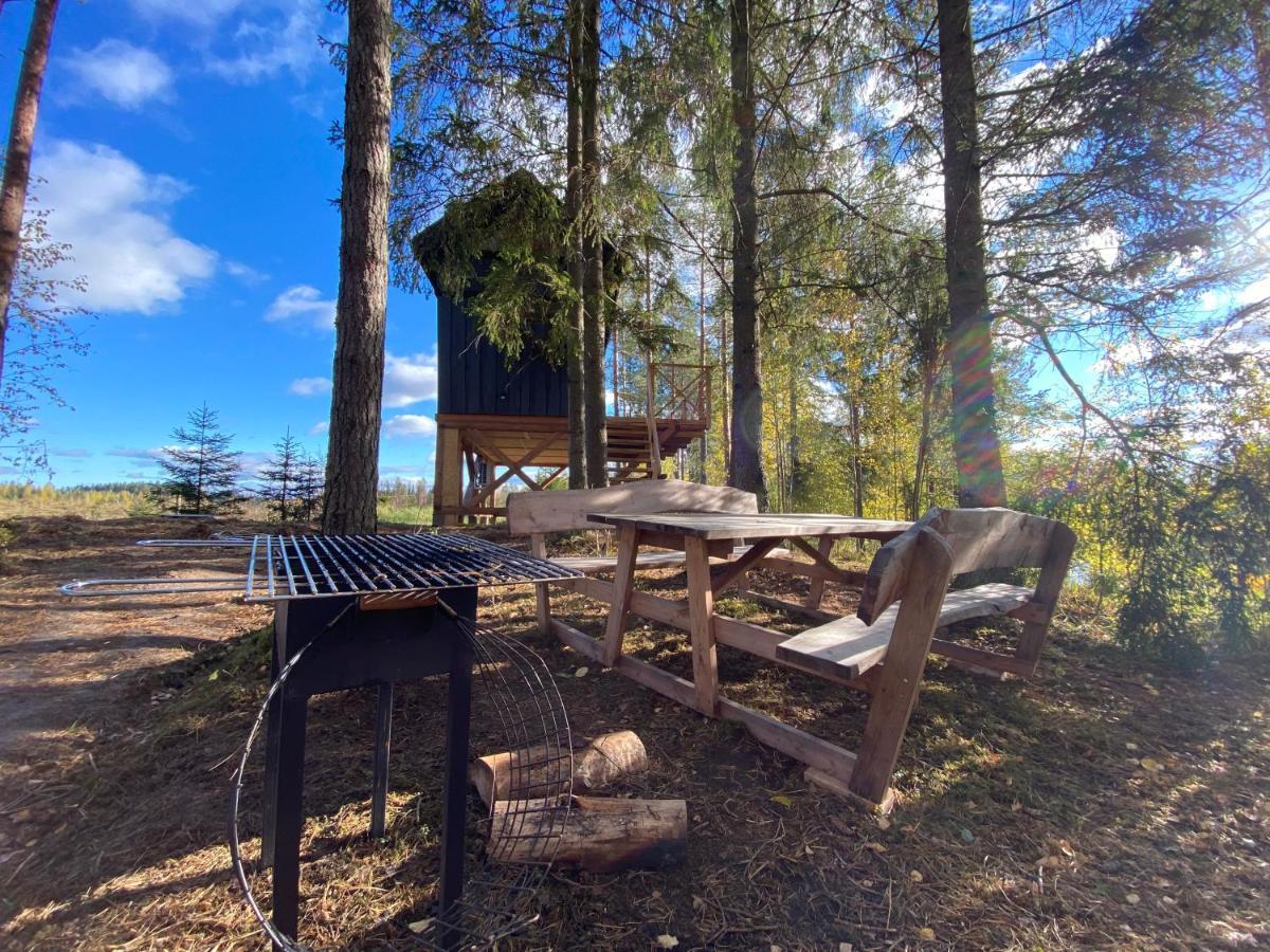 Viking House In The Tree! Jacuzzi, Sauna,Apkure! Lici  Exterior foto