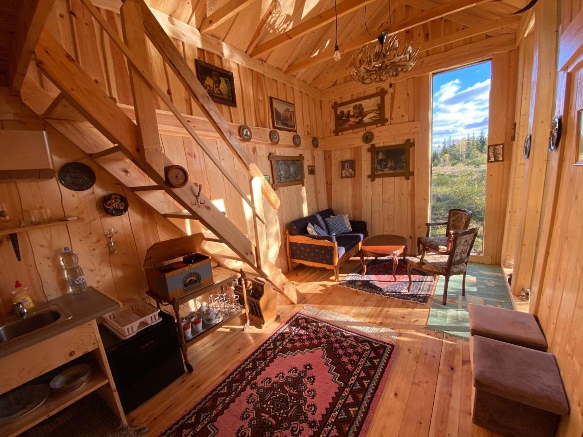 Viking House In The Tree! Jacuzzi, Sauna,Apkure! Lici  Exterior foto