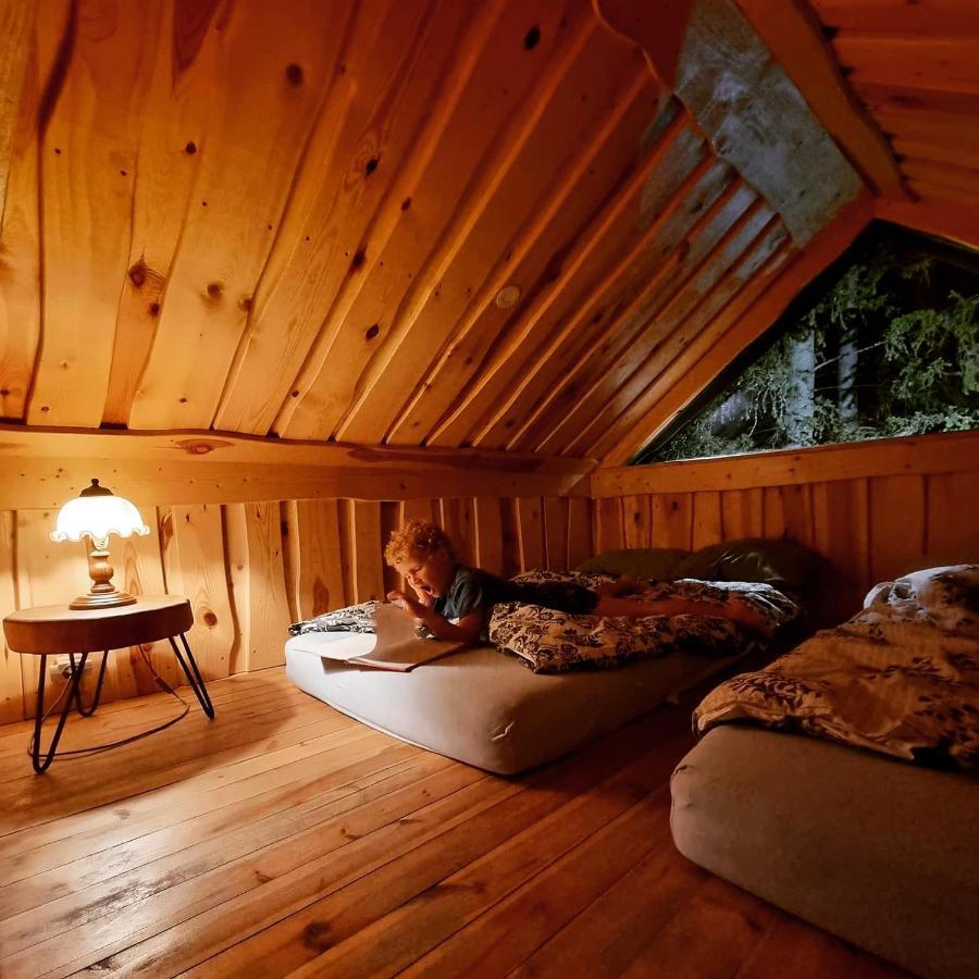 Viking House In The Tree! Jacuzzi, Sauna,Apkure! Lici  Exterior foto
